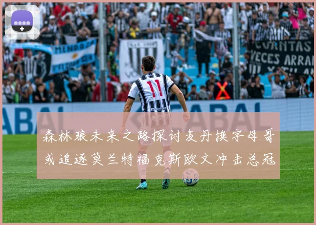 森林狼未来之路探讨麦丹换字母哥或追逐莫兰特福克斯欧文冲击总冠军